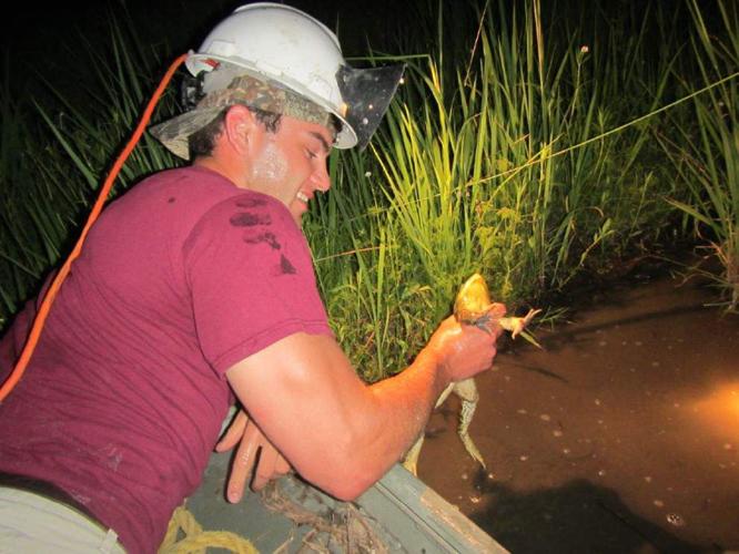 Frogging opportunities abound in Louisiana Louisiana Outdoors