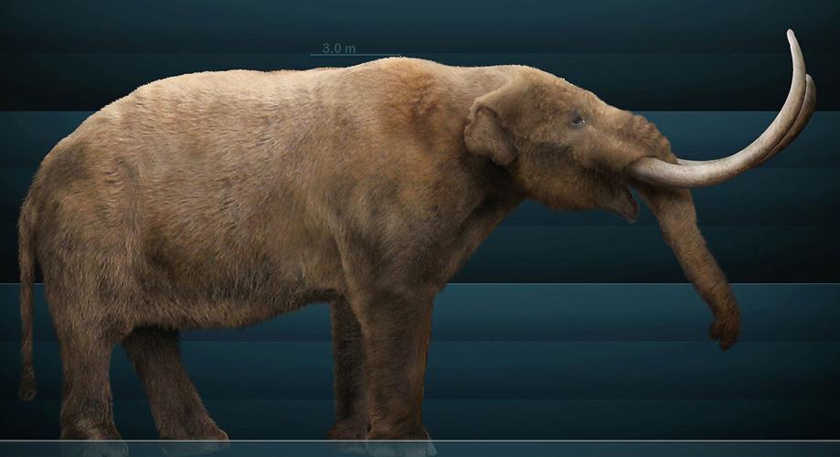 mastodon 3