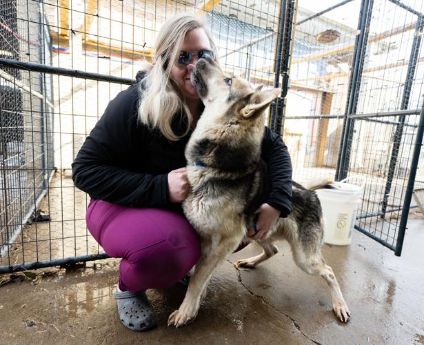 St. Landry Animal Shelter exdirector says politics involved Acadiana