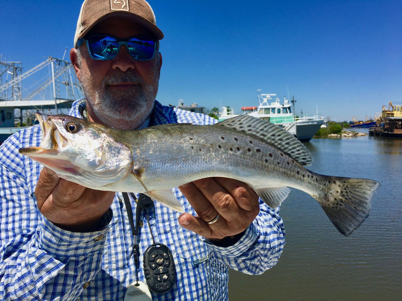 Empire Producing Speckled Trout Tide Wind And River Water Key Factors Louisiana Outdoors Theadvocate Com