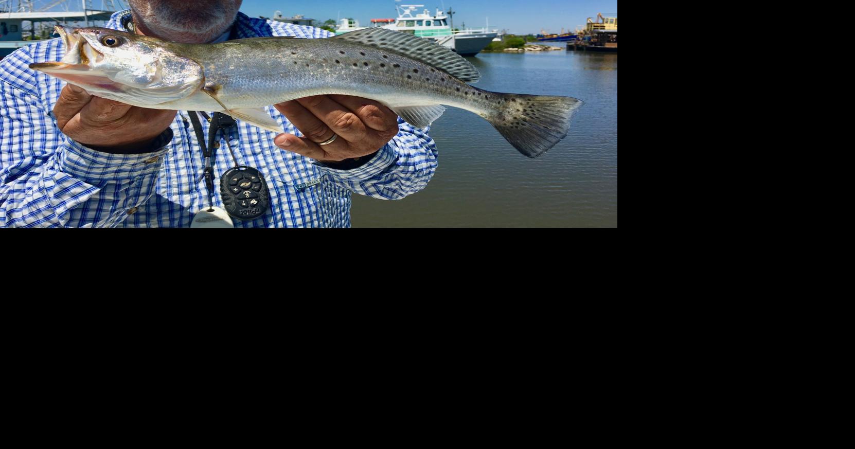 Empire producing speckled trout; tide wind — and river water — key