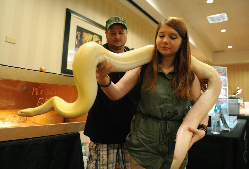 Photos: Snakes, turtles, lizards take center stage at ReptiDay in Lafayette _lowres