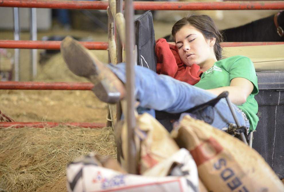 Photos: Acadiana 4-H show _lowres