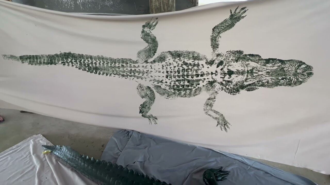 19 Alligators ideas  alligators art, louisiana art, new orleans art