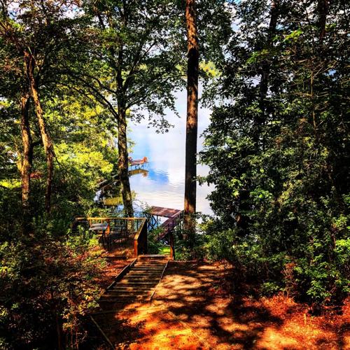 Cotile Lake is one of Louisiana's best kept secrets Entertainment