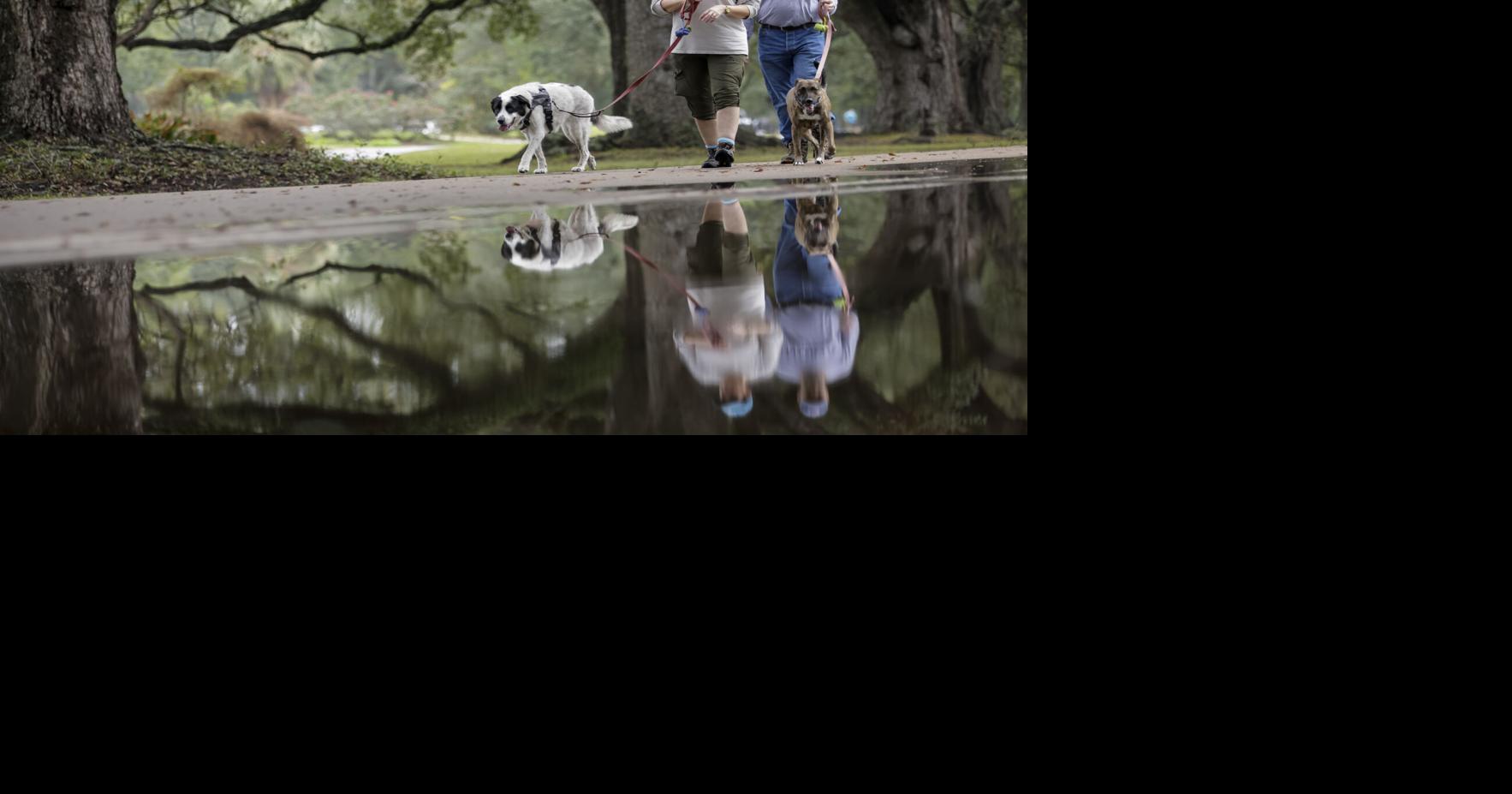 From ‘Jeopardy!’ to NPR: New Orleans' Shyra Latiolais keeps winning