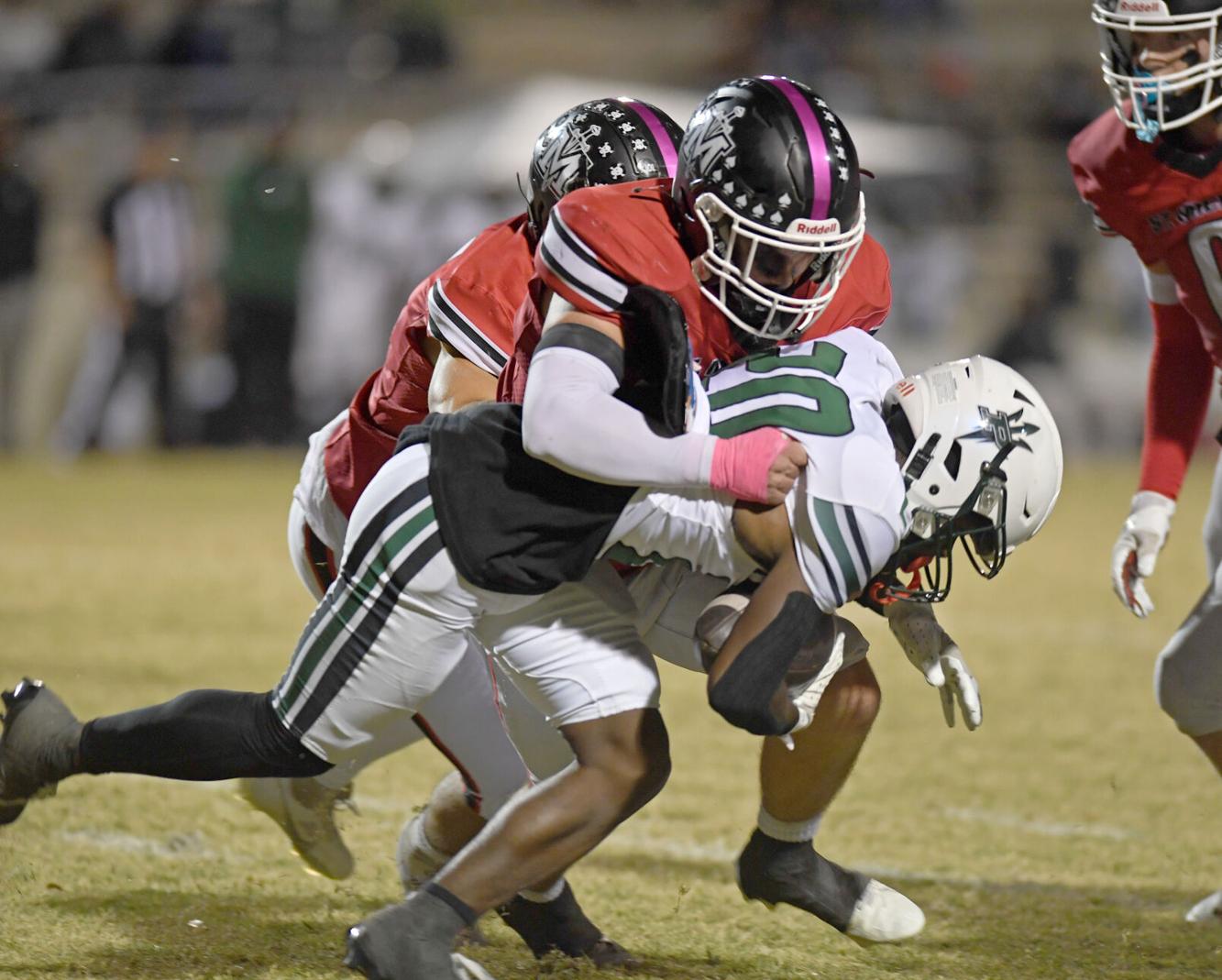 BR.plaqueminestmike.101924 406.jpg