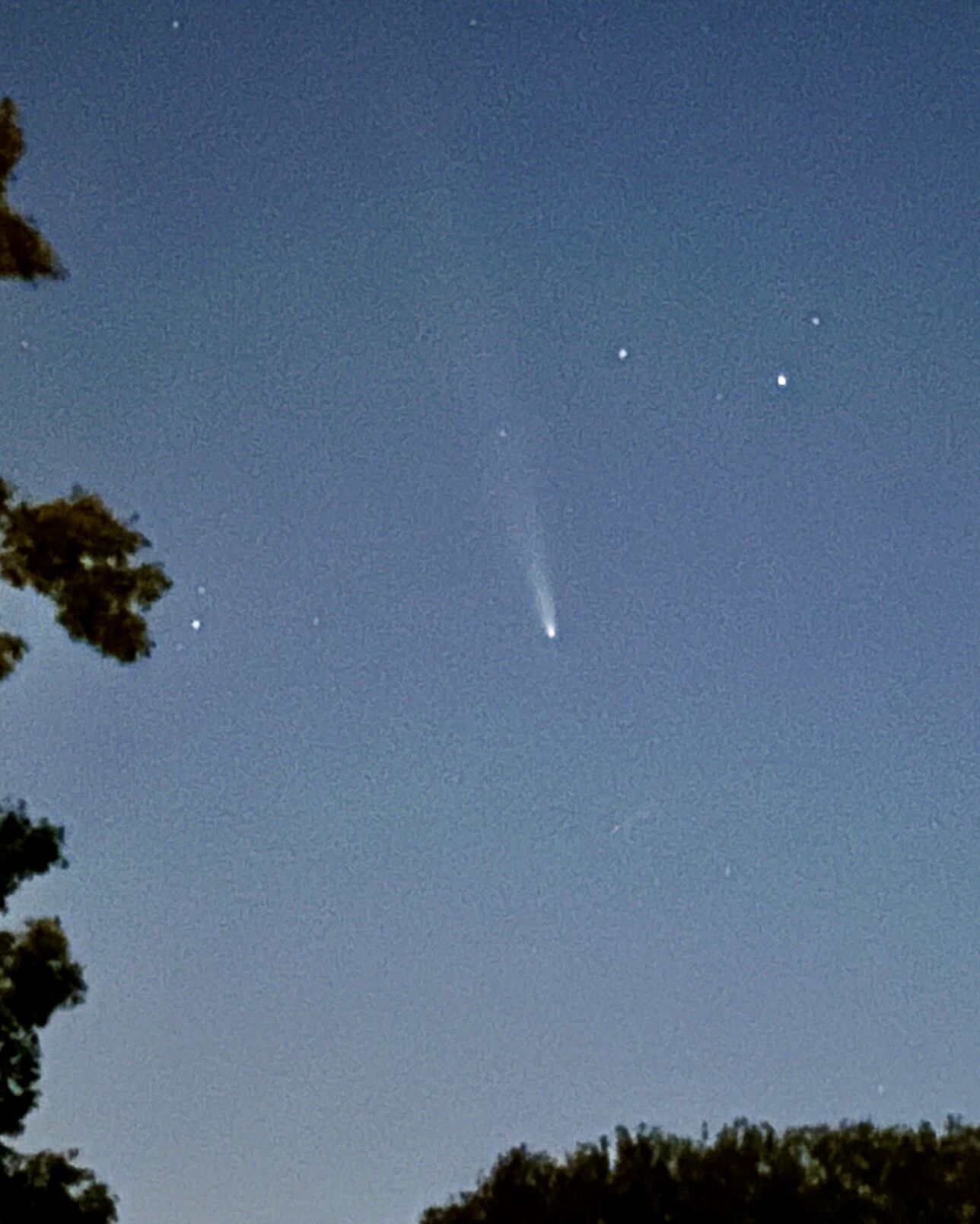 You can take phone photos of the Tsuchinshan-ATLAS comet | News ...
