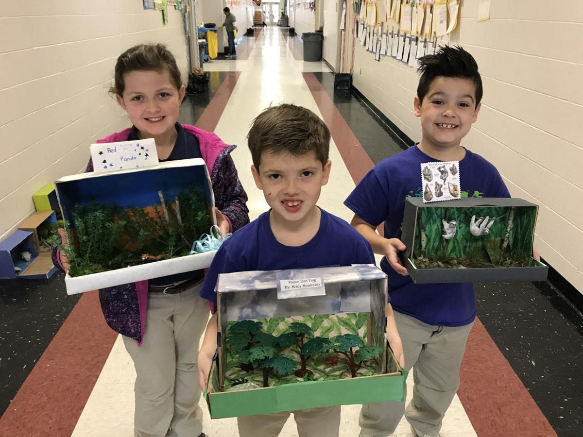 North Live Oak Elementary Earns Honors Students Busy With School Lessons Livingston Tangipahoa Theadvocate Com