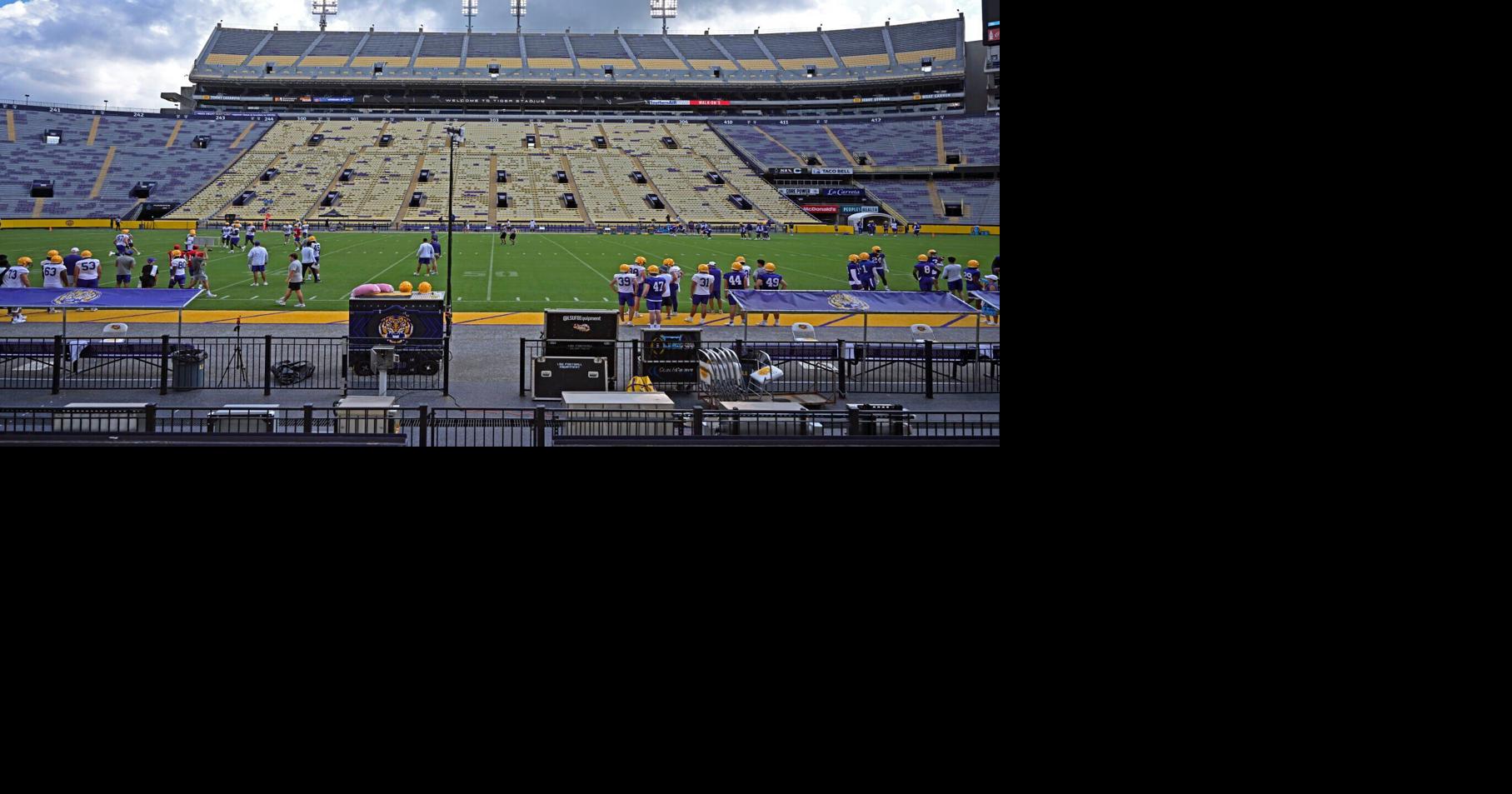 Gumbo, Lucky Dog hot dogs, more 8 new concession treats to debut in Tiger Stadium