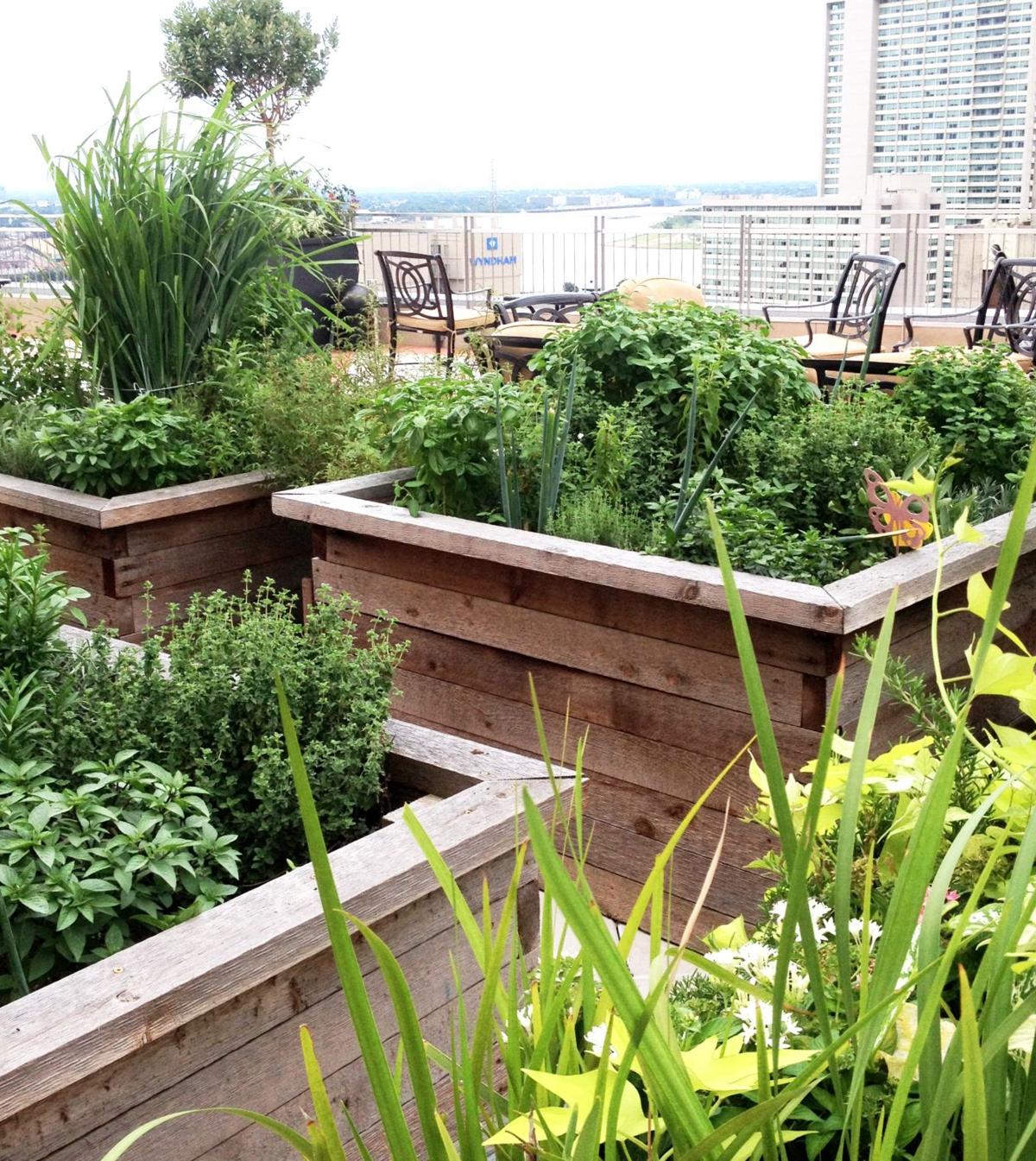 NO.rooftopgarden_RSB_003.JPG