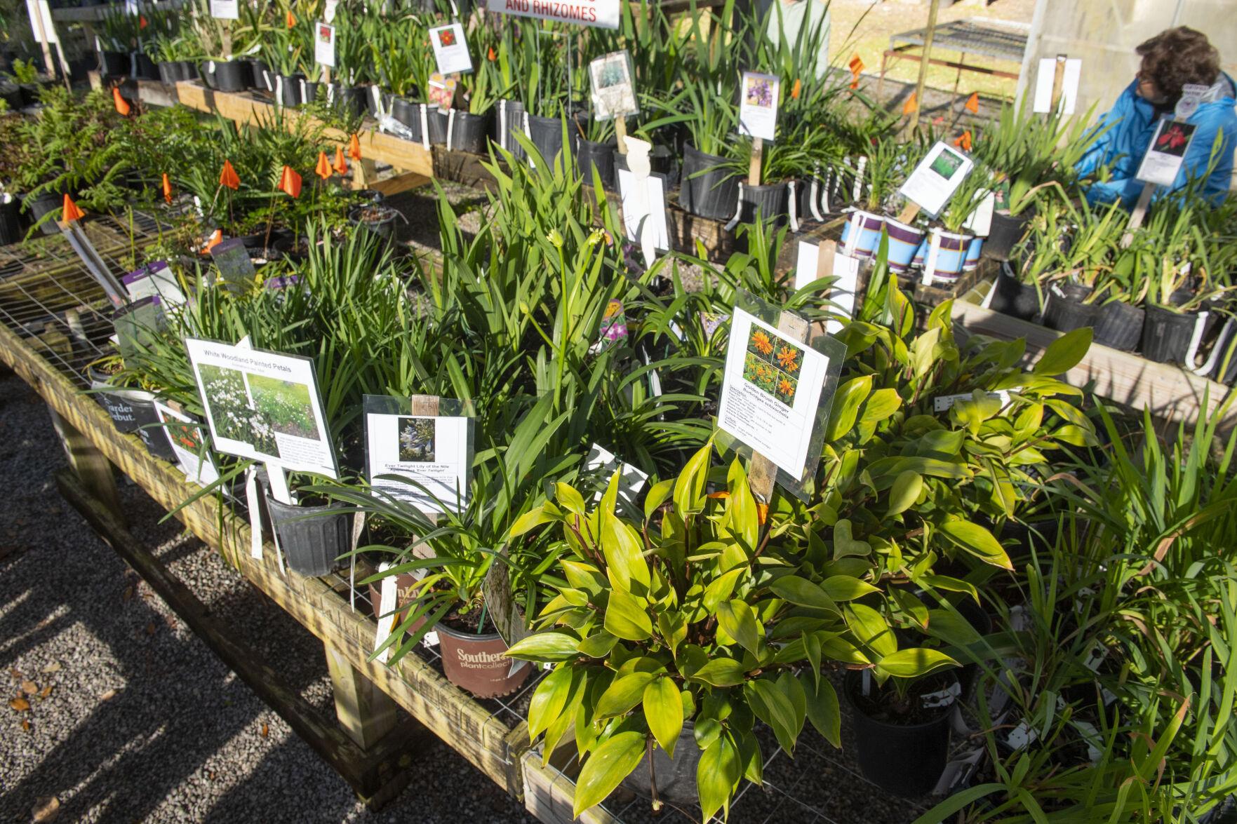Arboretum, Botanic Garden plant sales both this weekend Entertainment