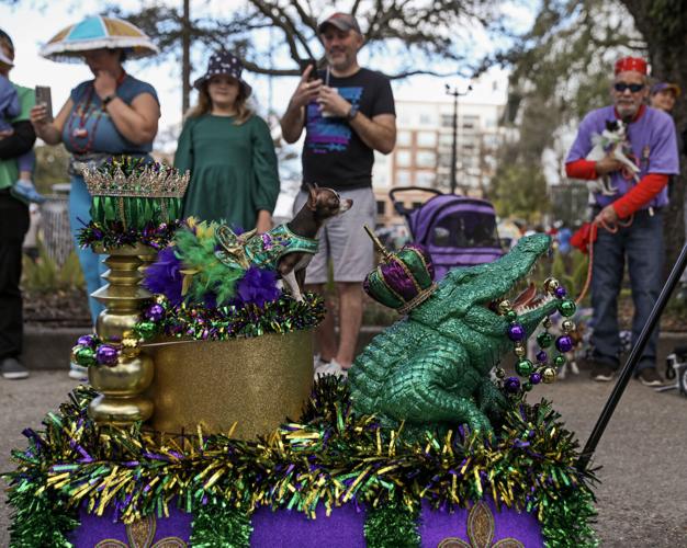 See when Baton Rouge Mardi Gras parades will roll Mardi Gras