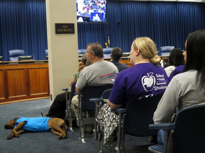 Senate Finance Committee hears from people how budget cuts impact them