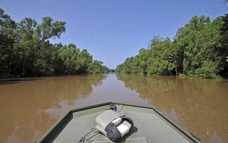 The Nature Conservancy buys Atchafalaya Basin land to improve water