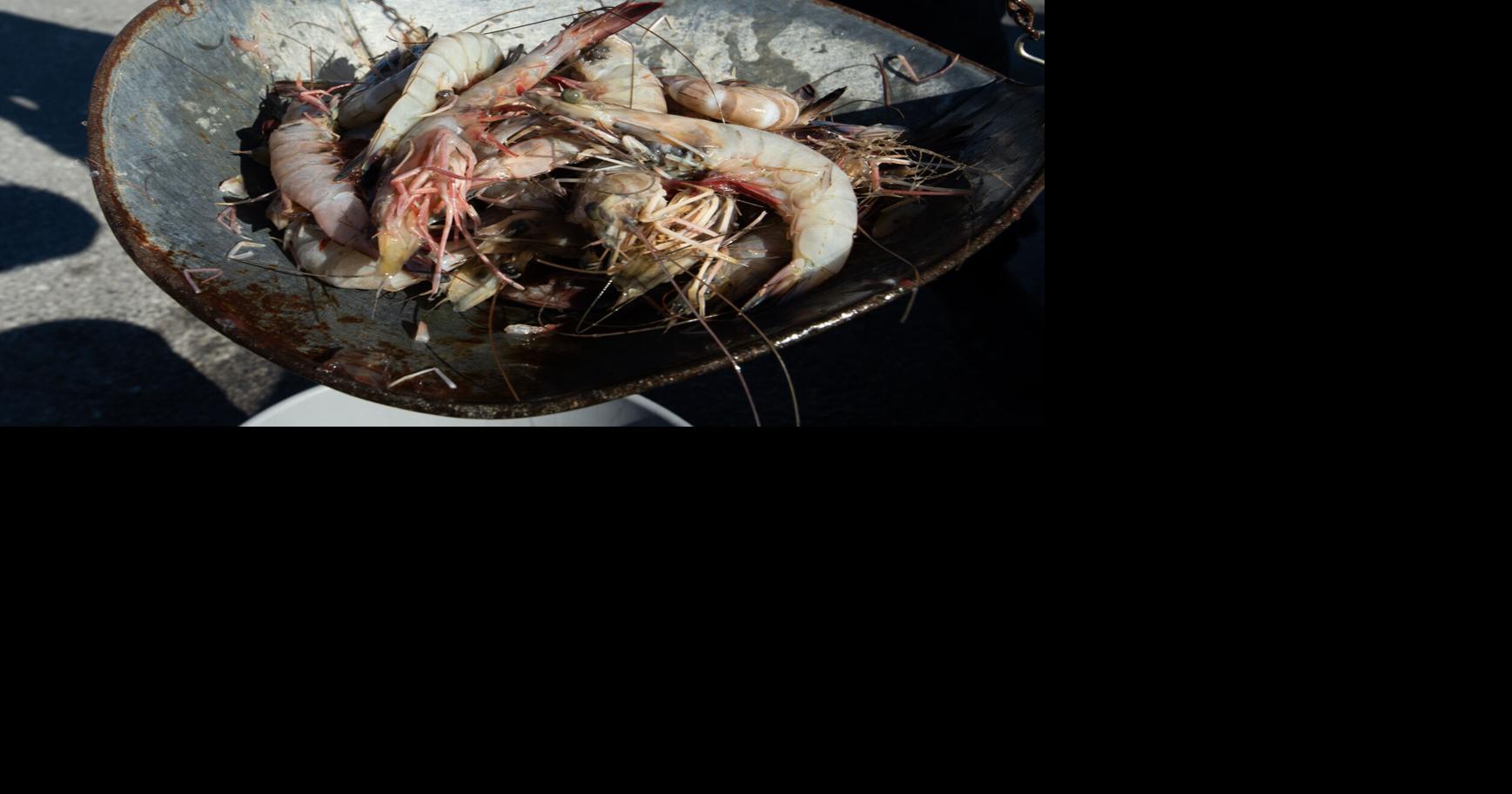 Seafood fraud: Some Baton Rouge restaurants are serving imported shrimp and calling it Gulf shrimp
