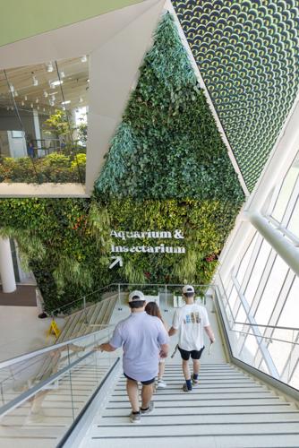 NO.livingwallsins.053126_192.JPG