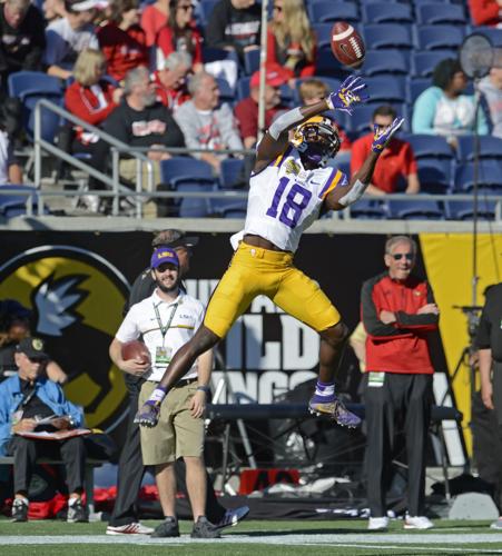 Lamar Jackson Louisville Cardinals Black Name and Number Short