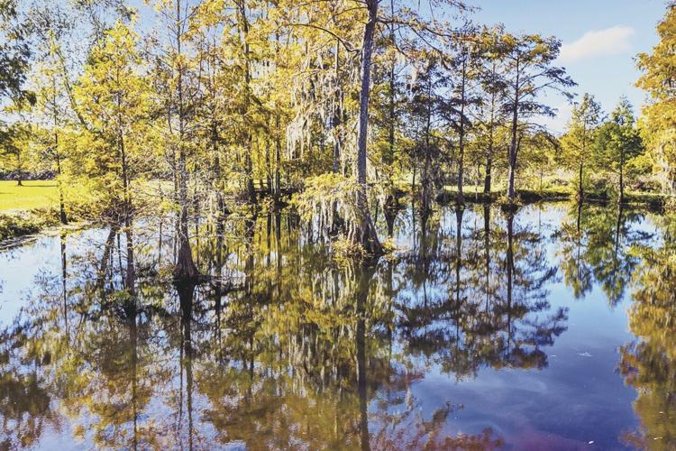 10450 Mandy Lane,  Denham Springs