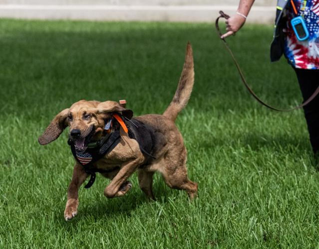 BR.caninesearch.062326_2144 MJ.JPG