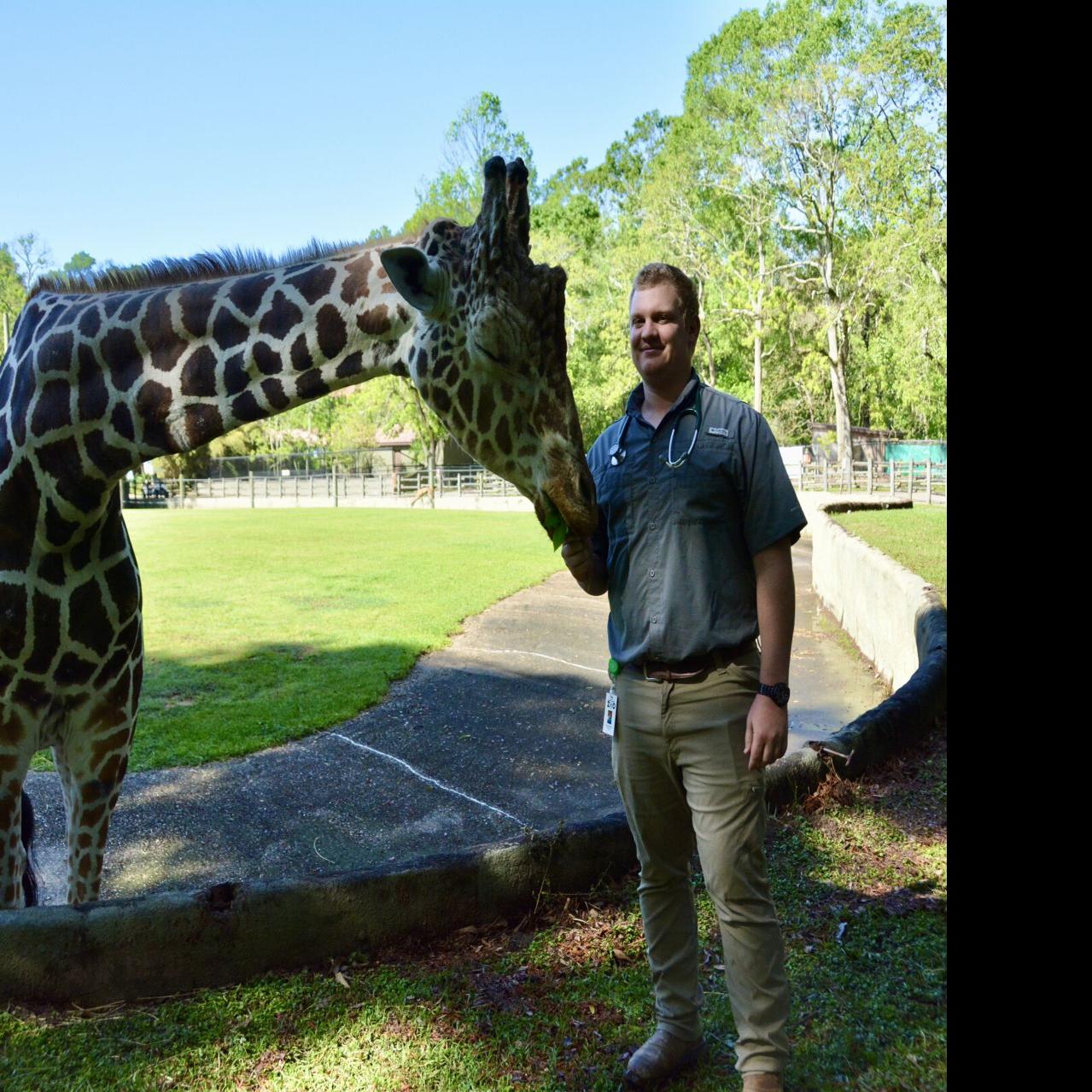 At BREC's Baton Rouge Zoo, a walk with vet who cares for all -- from tiny  birds to 2-ton rhinos | Entertainment/Life | theadvocate.com