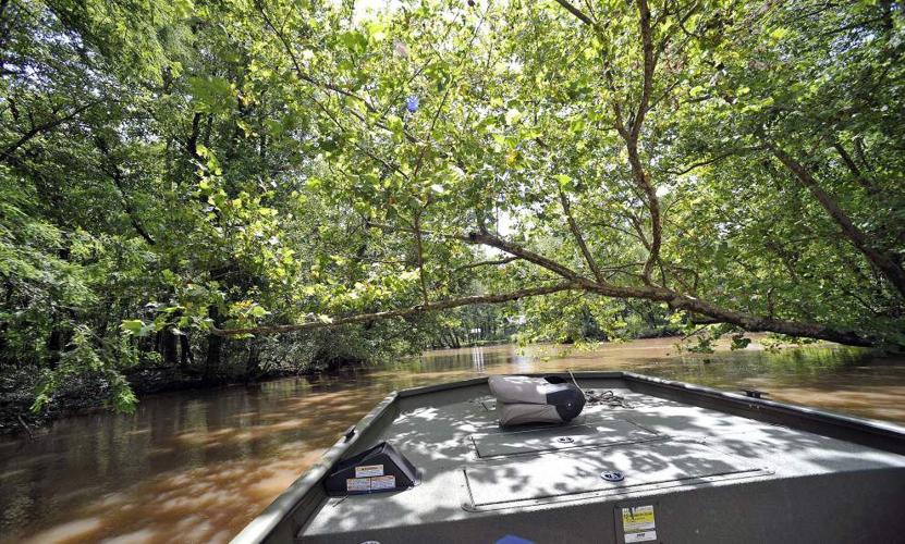 The Nature Conservancy buys Atchafalaya Basin land to improve water