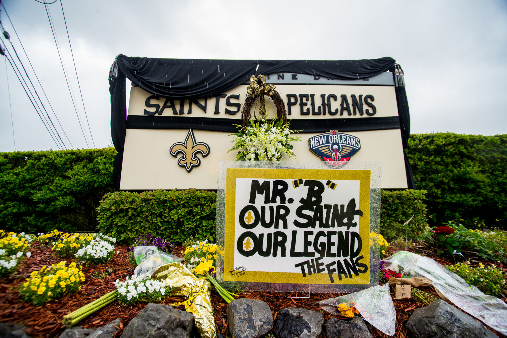 New orleans best sale saints pelicans