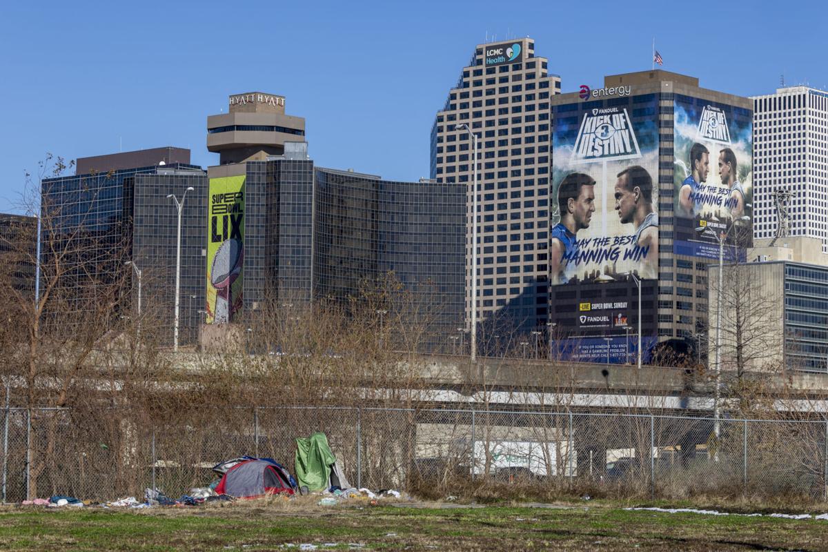 Super Bowl LIX events to plant trees, combat food insecurity News
