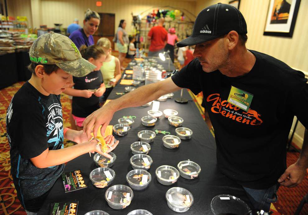 Photos: Snakes, turtles, lizards take center stage at ReptiDay in Lafayette _lowres