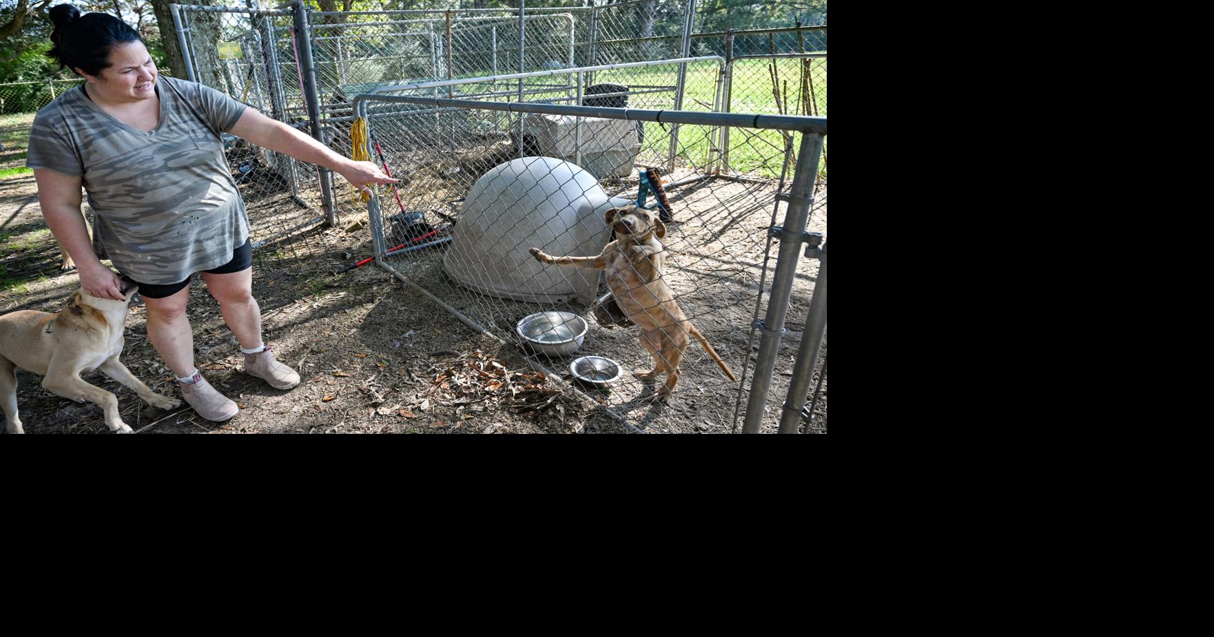 In this rural Louisiana parish, an underfunded nonprofit shelter is the only form of animal control