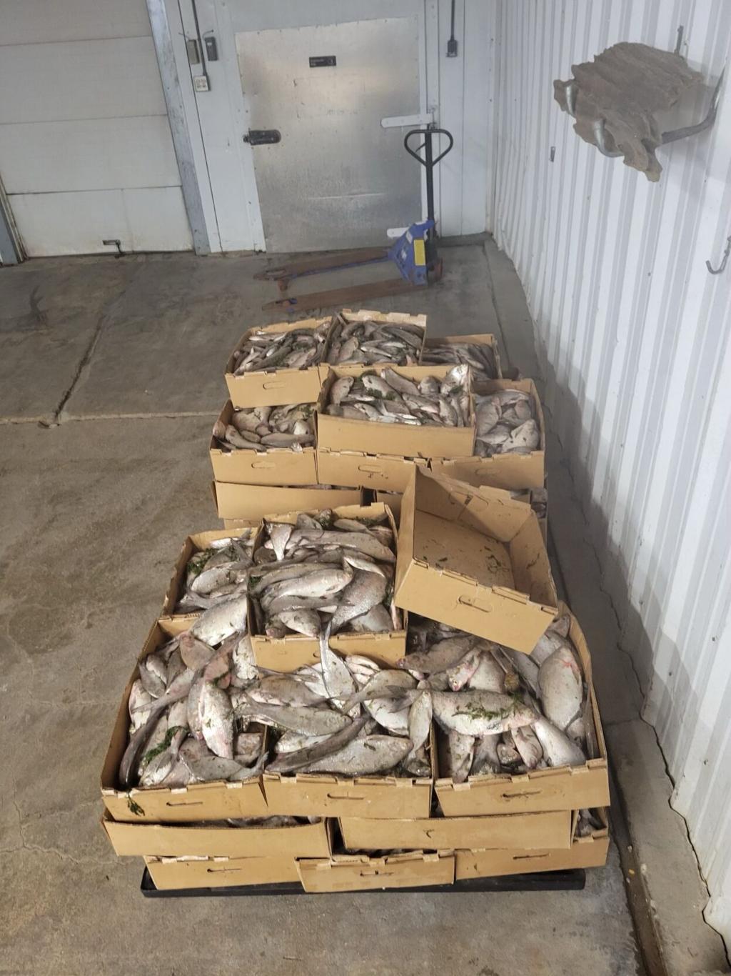 12+ Lake Nacimiento Fish