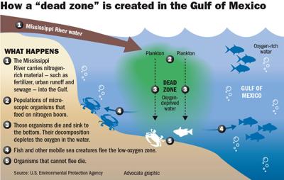 060818 How Dead Zone Forms.jpg