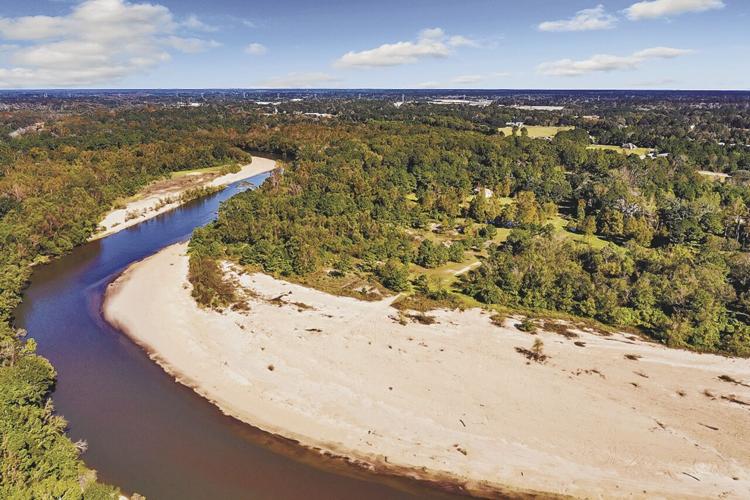 10450 Mandy Lane,  Denham Springs