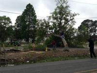 Severe Storm Blows Through South Louisiana Leaving A Mess And A Massive Cleanup Effort News Theadvocate Com