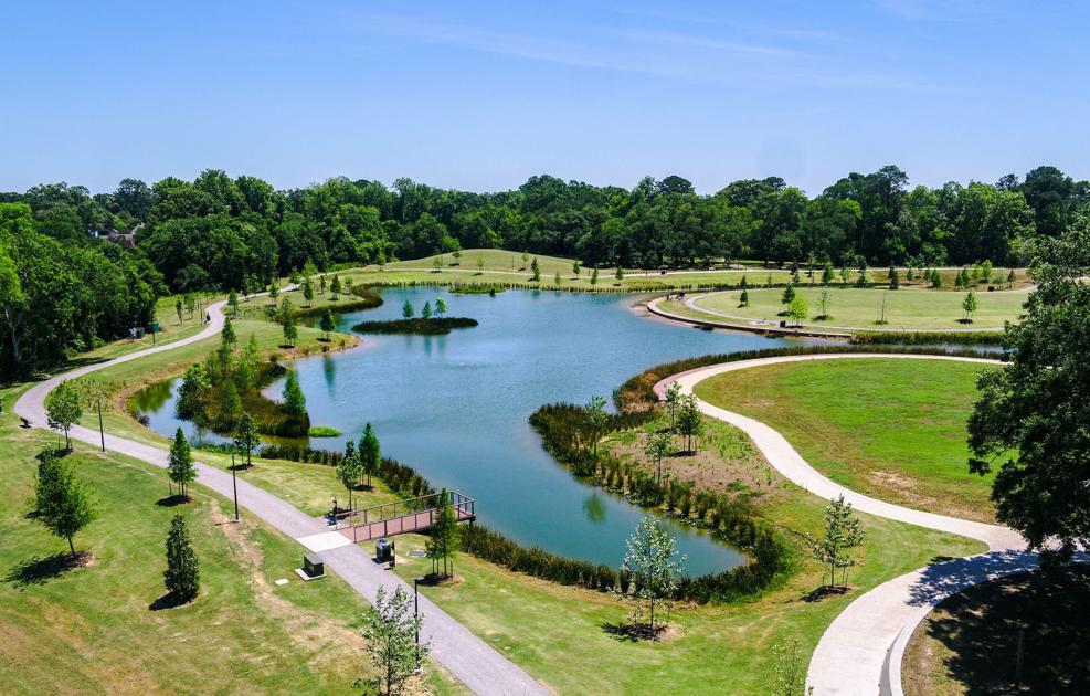 A birdseye view of Moncus Park; raising money for community treehouse