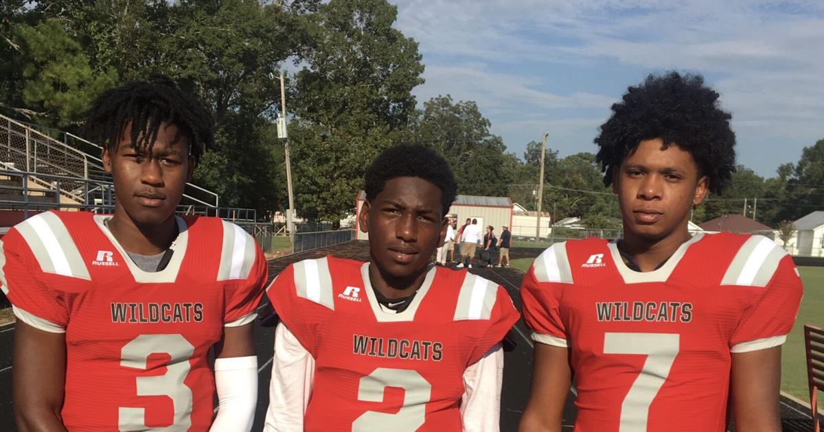 Coach Roderick Moy Abbeville preview: Rod Moy era begins with high hopes for Wildcats ...
