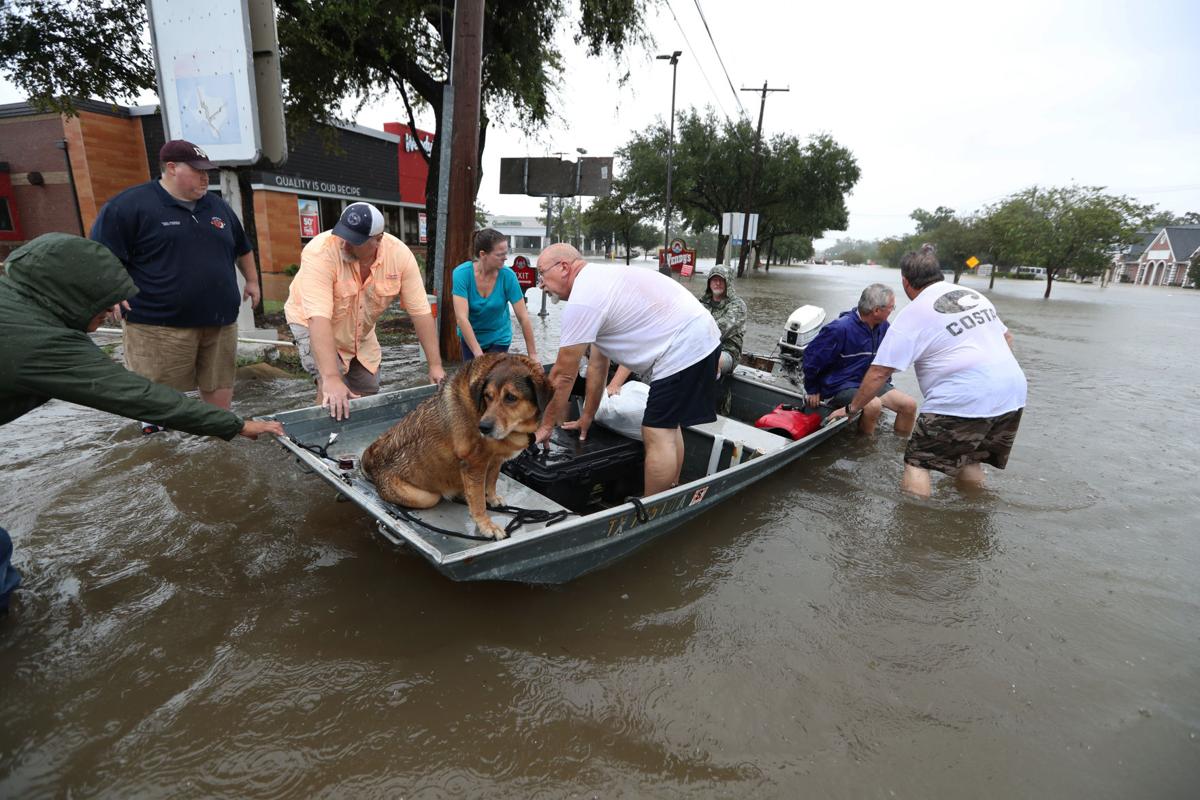 Harvey