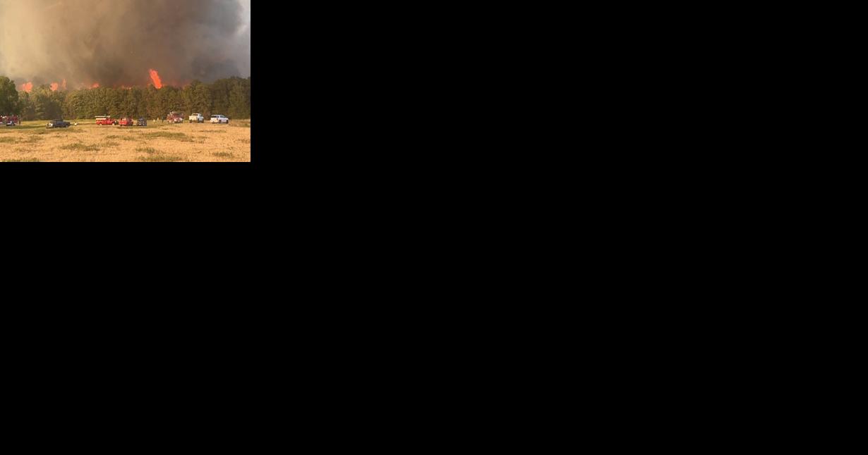 cameron and sabine parish wildfires continue | News - Vimarsana News