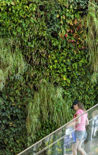 NO.livingwallsins.053126_189.JPG