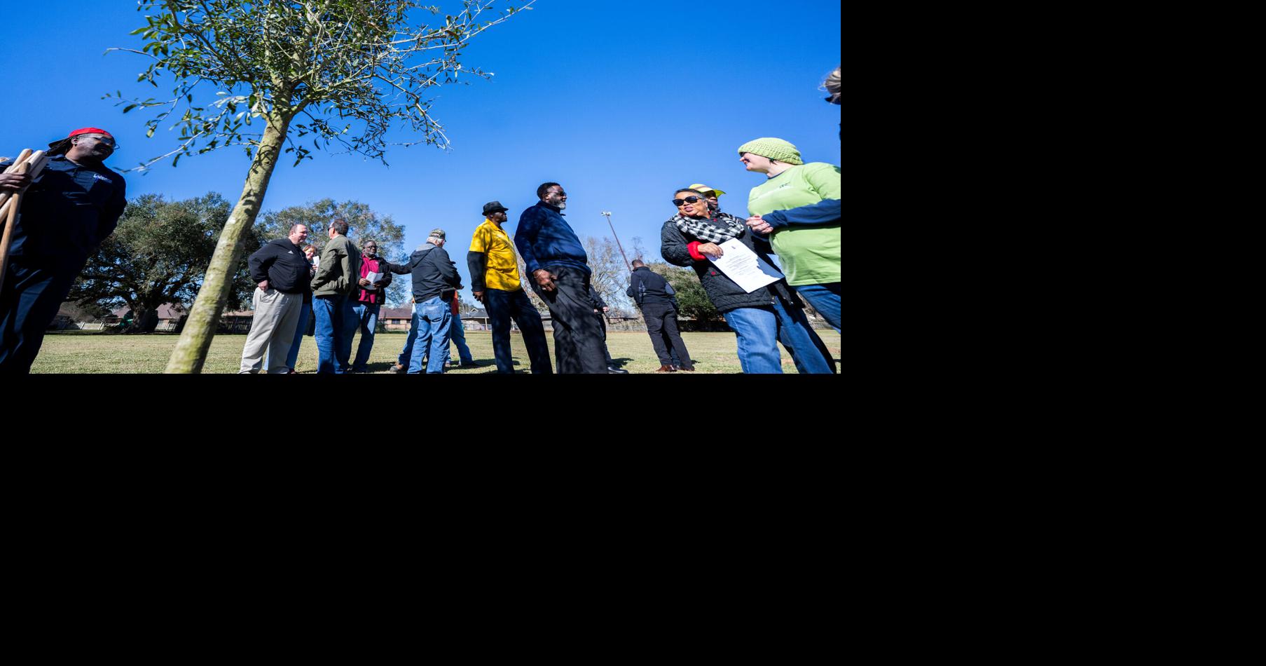 Lafayette Arbor Day live oak tree dedication | Photos | theadvocate.com