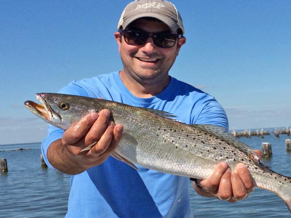 New speckled trout regulations put on hold, Sports