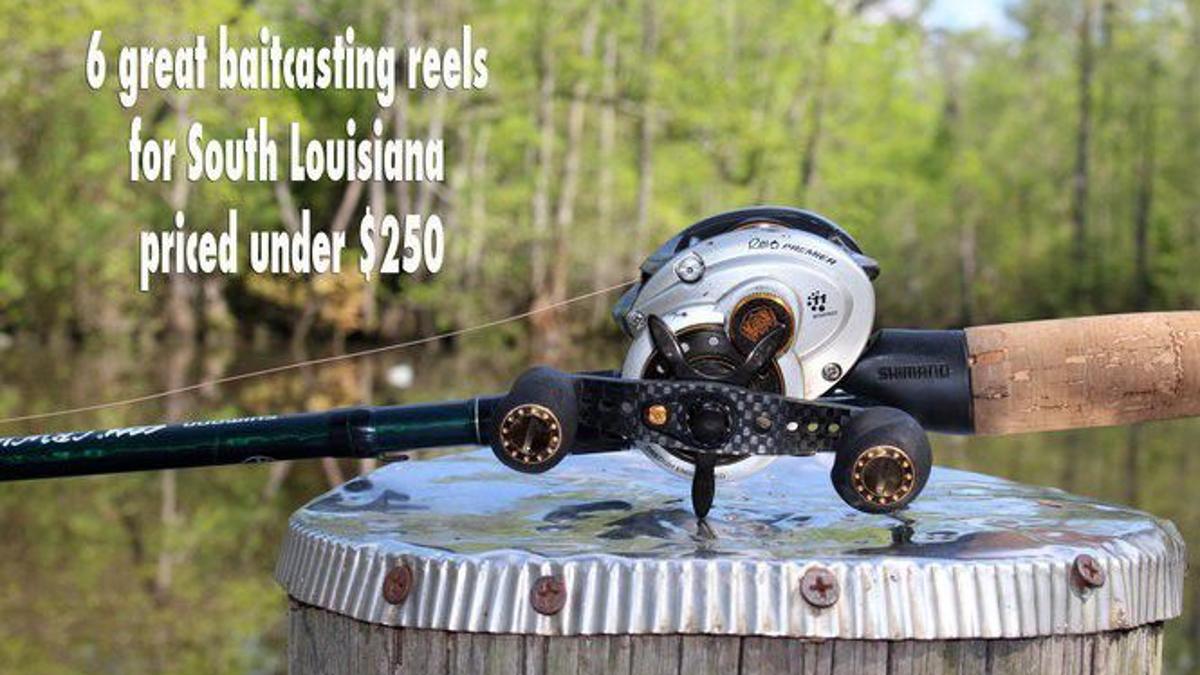 best baitcasting reel for the money 2015 Lllunimon BS2000 8.1:1High Speed Fishing Reels 8KG Max Drag Reinforced Reel Drag Reel Fishing,Left Hand : Sports & Outdoors Best Baitcasting Reel Under $100