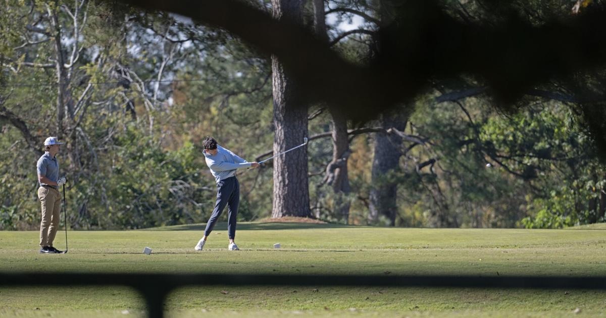 BREC's chief financial officer resigns, Baton Rouge parks and recreation ...