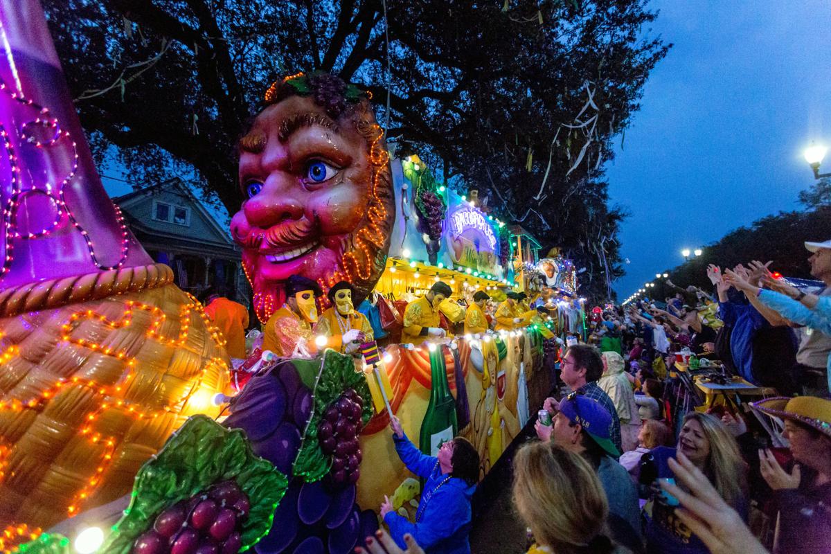NO.bacchus256.021218