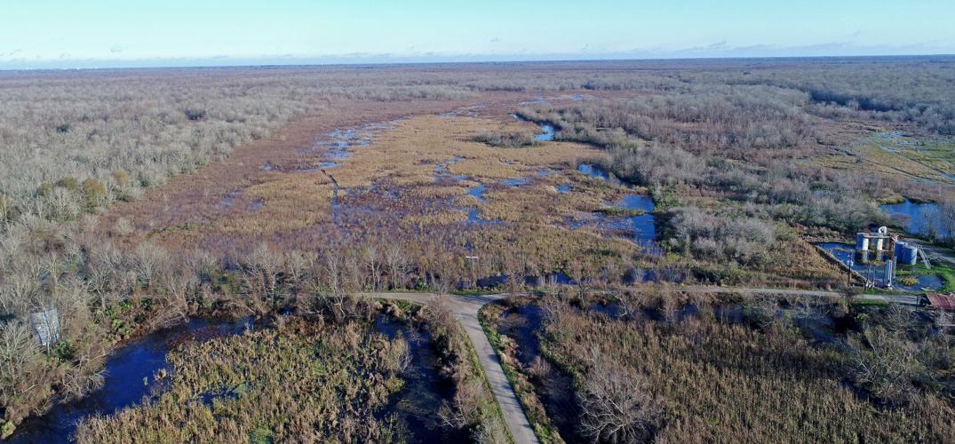 Lawsuit Oilfield contamination is widespread in Spanish Lake basin just outside Baton Rouge
