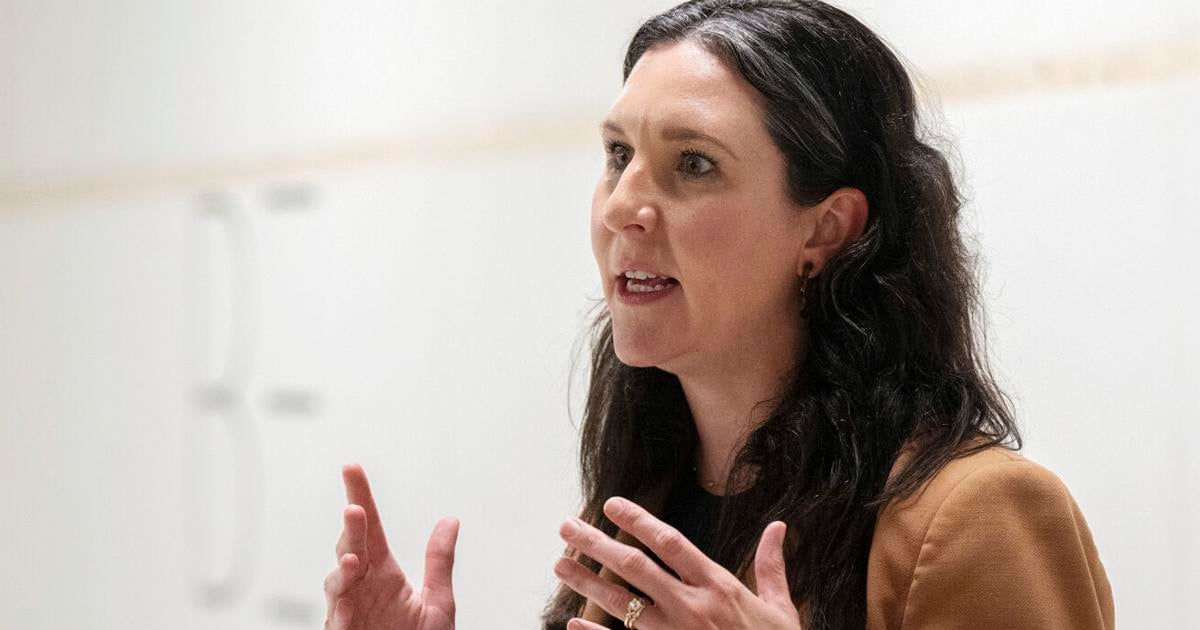 Laura Bushell Community Foundation names former DDA CEO to lead initiative | Business ...