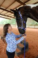 equine.tam.072722.01.jpg