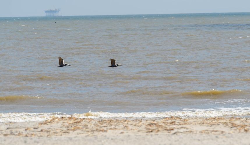 With Elmer's Island beach, Louisiana officials celebrate largest