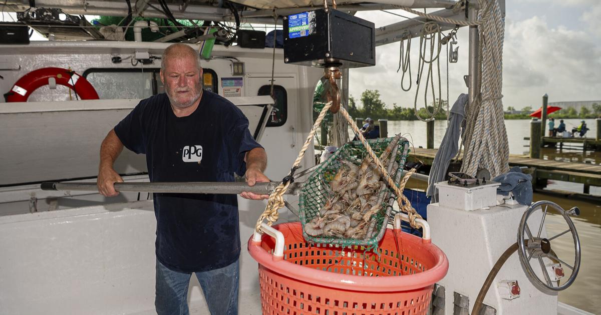Delcambre, Louisiana Seafood and Farmers Market | Food | theadvocate.com