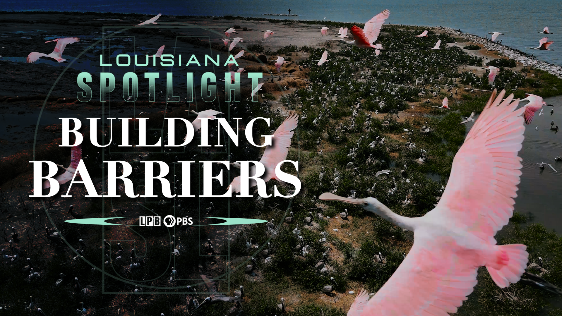 theadvocate.com - Advocate Staff - LPB explores the latest on Louisiana's coastal restoration in new series. Here's the details.